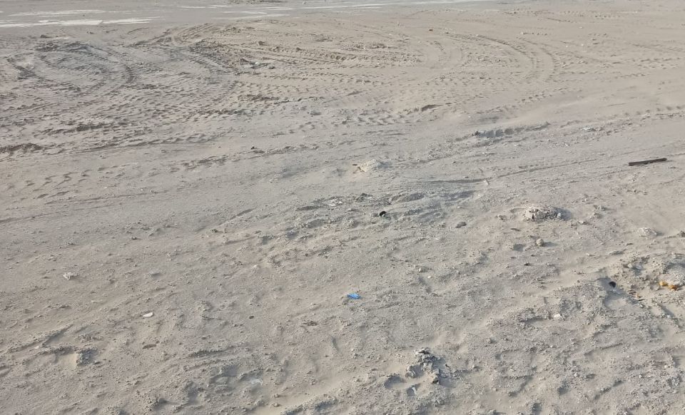 Prime Land Opportunity: 42,700 Sqft Industrial or Commercial Land for Sale in Ras Al Khor 3 Near Vegetable Market | Freehold Property with G+1 Permissions, Ideal for Warehouses and Offices Prime Land Opportunity: 42,700 Sqft Industrial or Commercial Land for Sale in Ras Al Khor 3 Near Vegetable Market | Freehold Property with G+1 Permissions, Ideal for Warehouses and Offices  | RGEstate UAE