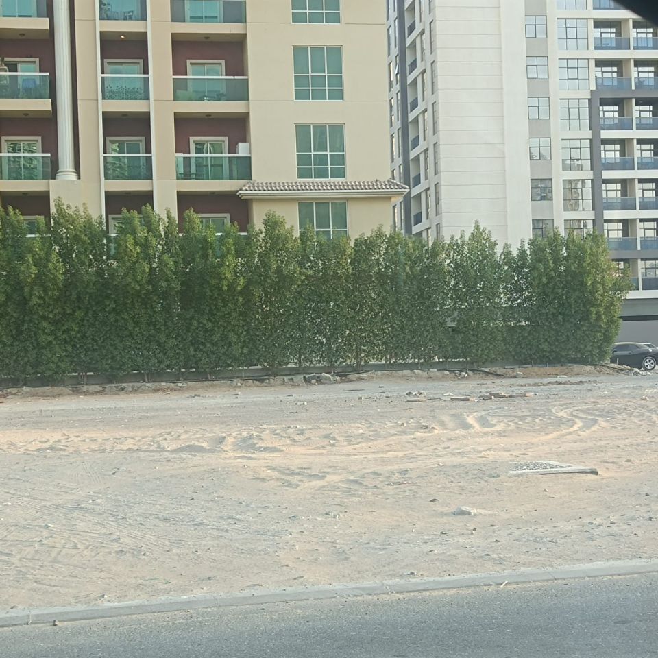 41,334 Sq.Ft Residential or Commercial Building Plot For Sale in Liwan, Dubai 41,334 Sq.Ft Residential or Commercial Building Plot For Sale in Liwan, Dubai  | RGEstate UAE