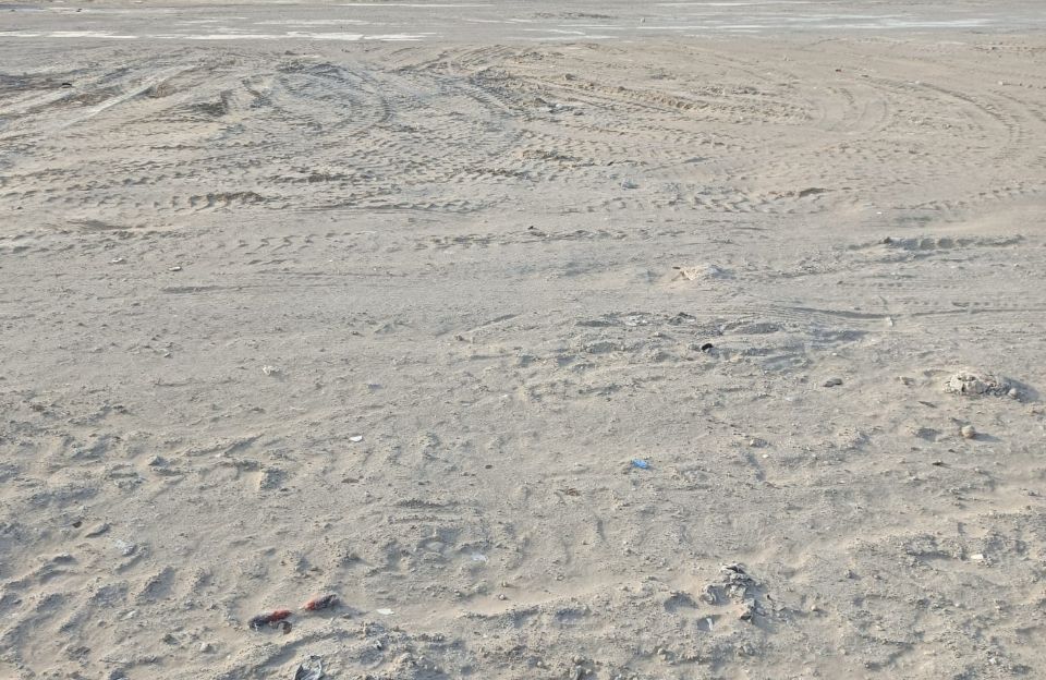 18,272 Sqft Freehold Commercial or Residential Building Plot for Sale in Al Jaddaf – G+8 Approved 18,272 Sqft Freehold Commercial or Residential Building Plot for Sale in Al Jaddaf – G+8 Approved  | RGEstate UAE